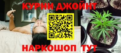 гашик Кунгур