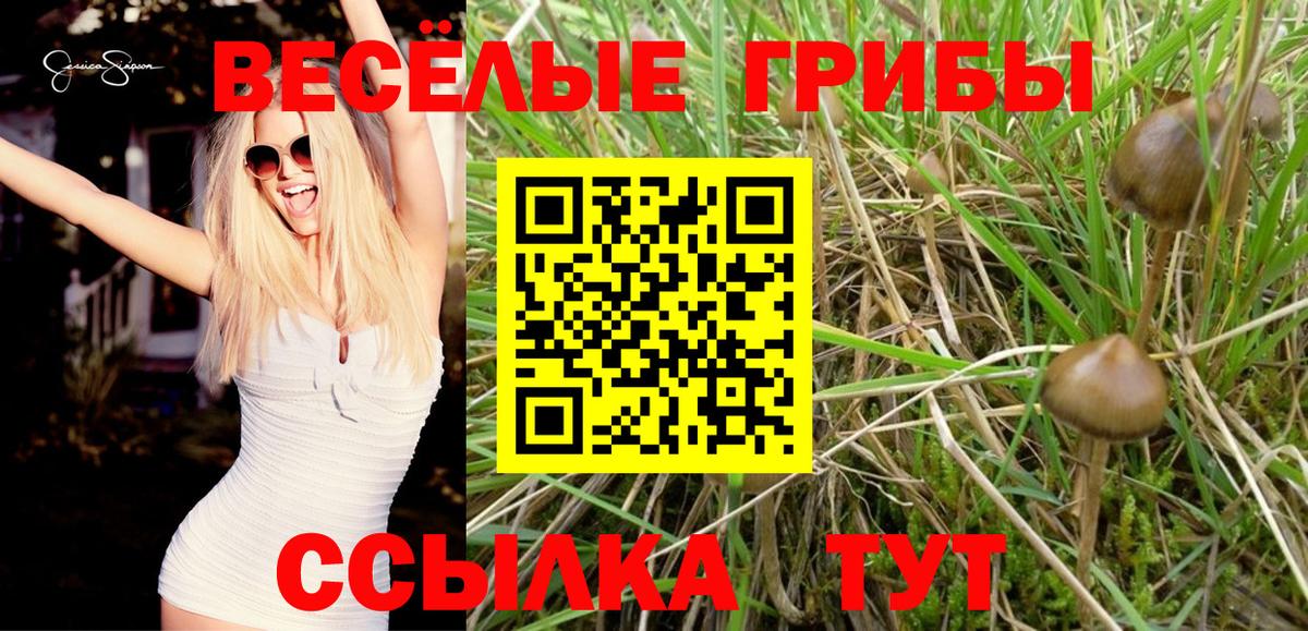 Псилоцибиновые грибы ЛСД Зерноград